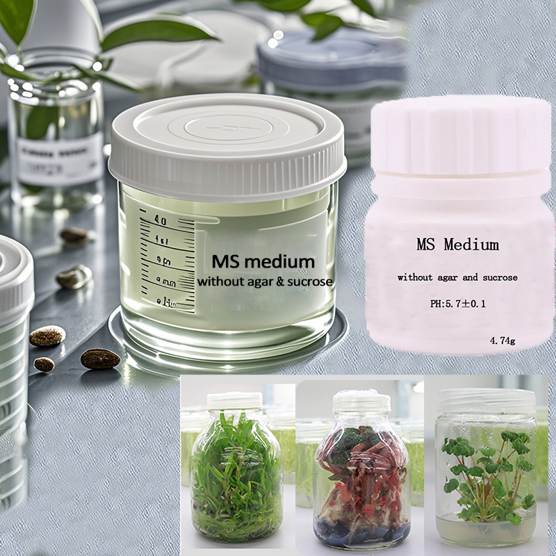 MS medium Without Agar Or Sucr - Agar Tissue Culture 评论和价格
