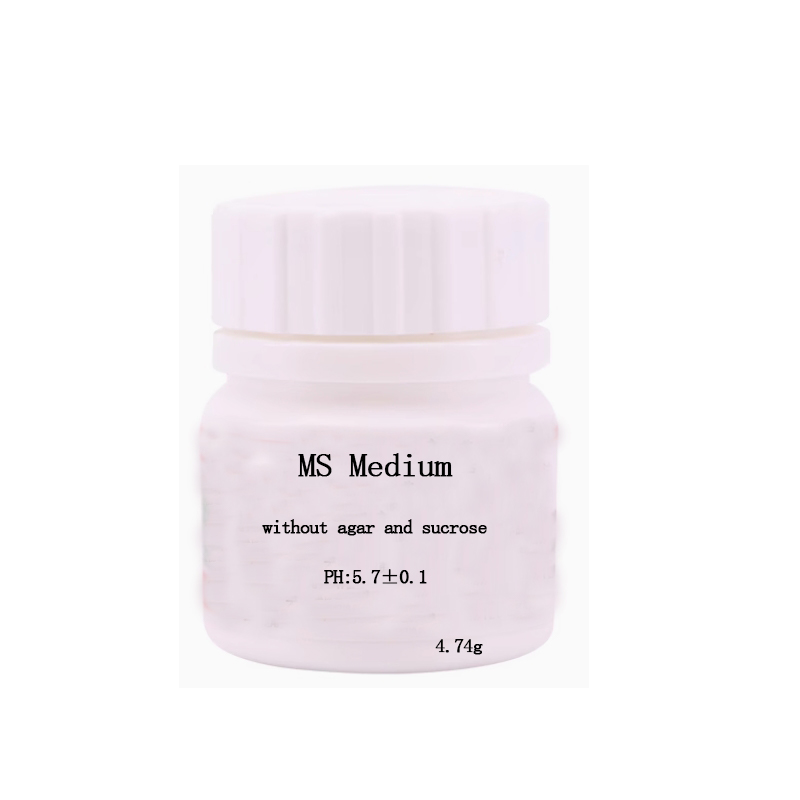 MS medium Without Agar Or Sucr - Agar Tissue Culture 评论和价格