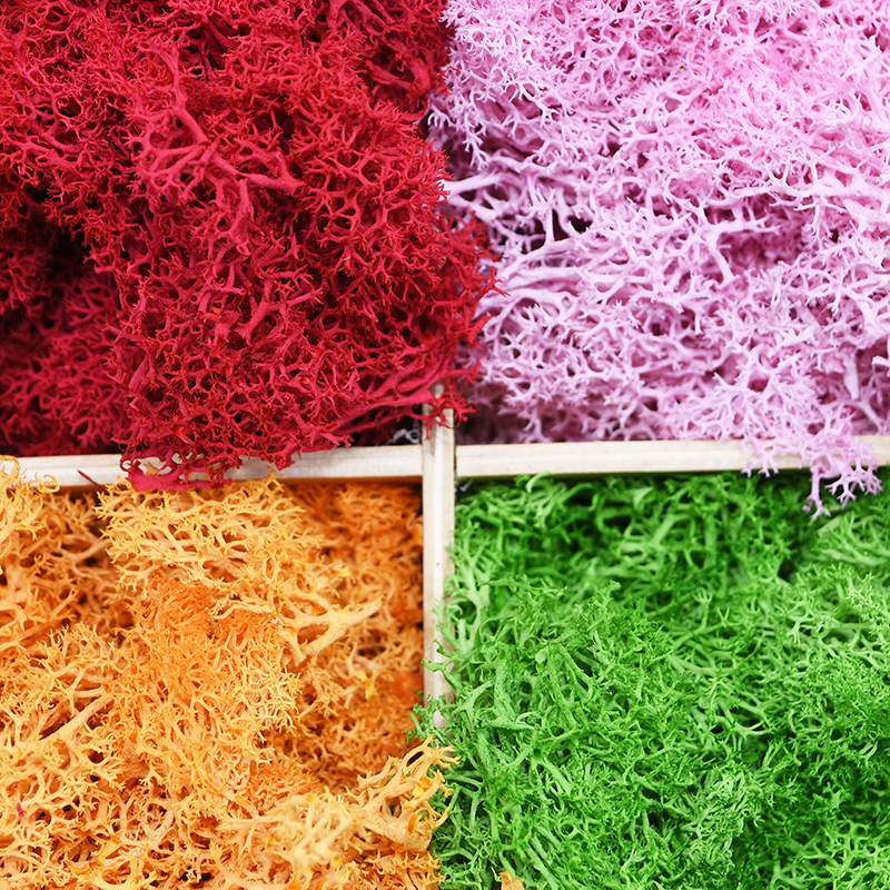 20/40g Artificial Green Plants - Sphagnum Moss Dry 评论和价格