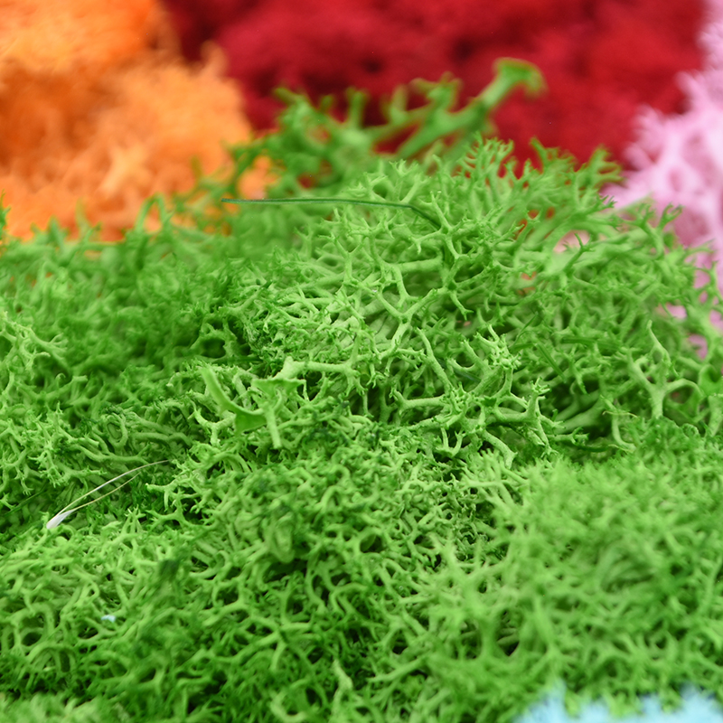 20/40g Artificial Green Plants - Sphagnum Moss Dry 评论和价格
