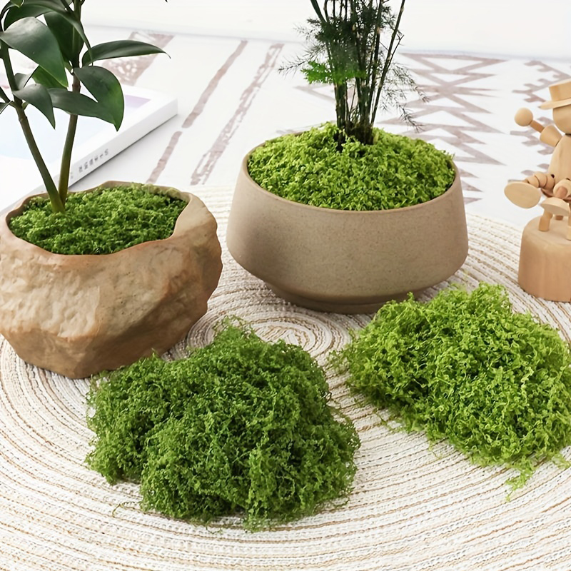 20g/0.7oz Artificial Garden Fa - Sphagnum Moss Dry 评论和价格