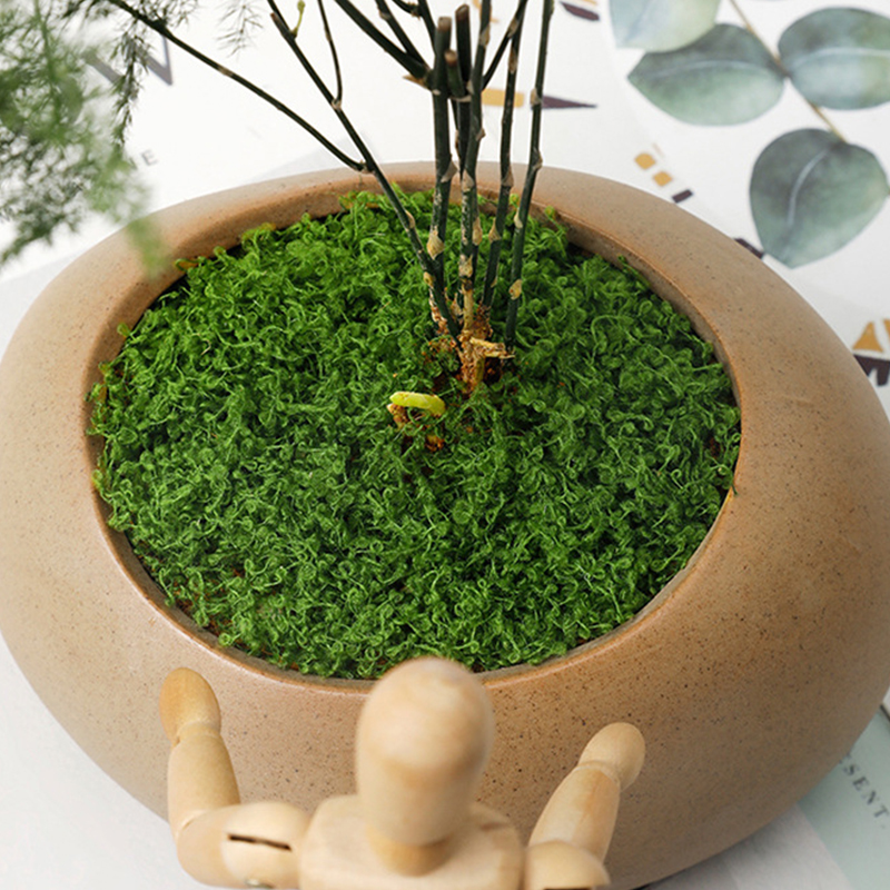 20g/0.7oz Artificial Garden Fa - Sphagnum Moss Dry 评论和价格