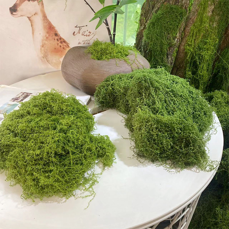 20g/0.7oz Artificial Garden Fa - Sphagnum Moss Dry 评论和价格