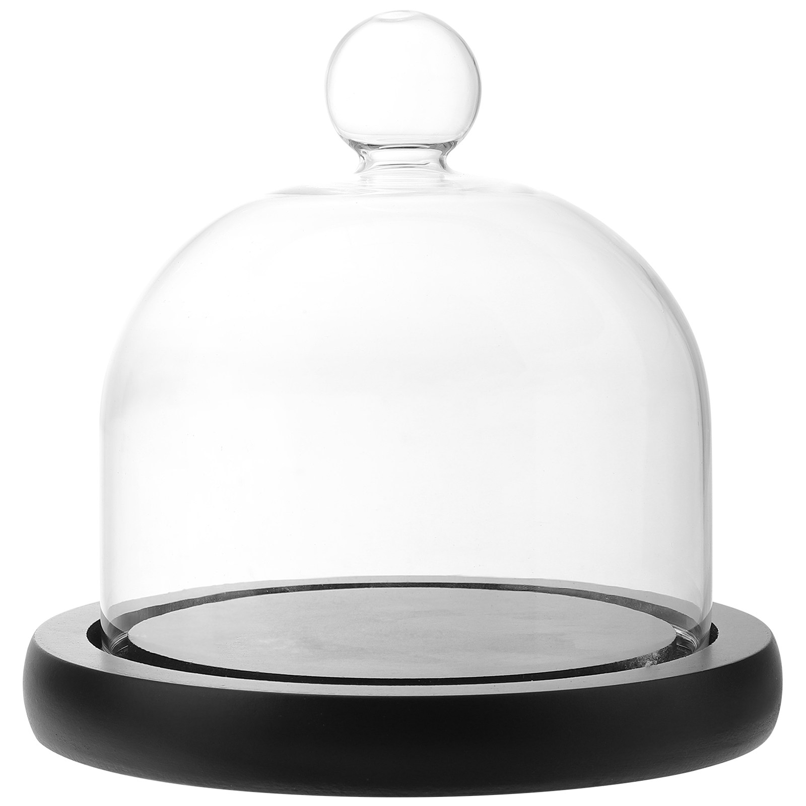Clear Glass Display Dome for P - Plastic Dome Clear 评论和价格