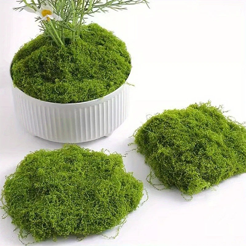 1 \ 5 \ 8 pcs artificial simul - Sphagnum Moss Dry 评论和价格