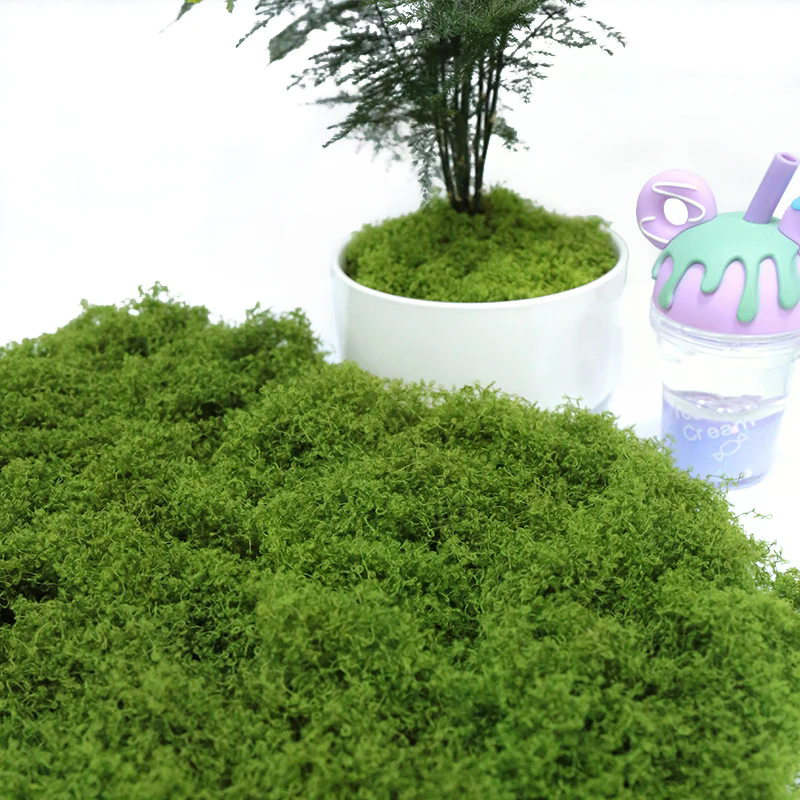50g Fake Moss DIY Crafts Grass - Sphagnum Moss Dry 评论和价格