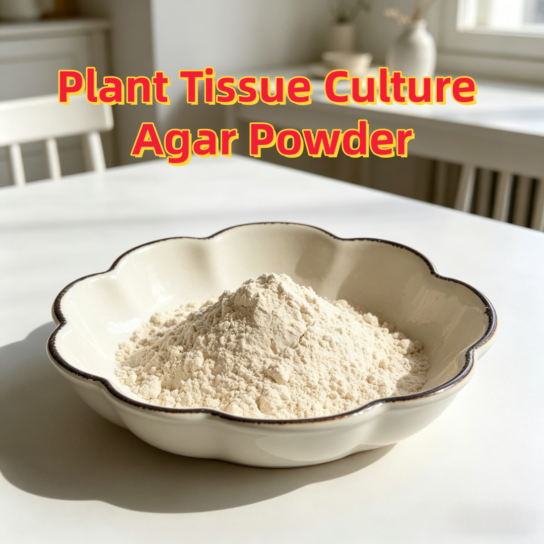 High Gel Strength Plant Tissue - Agar Tissue Culture 评论和价格