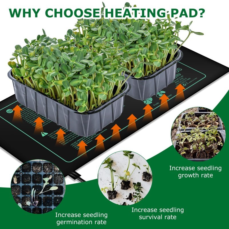 Seedling Heating Mat  Indoor P - Rooting Gel Clone 评论和价格