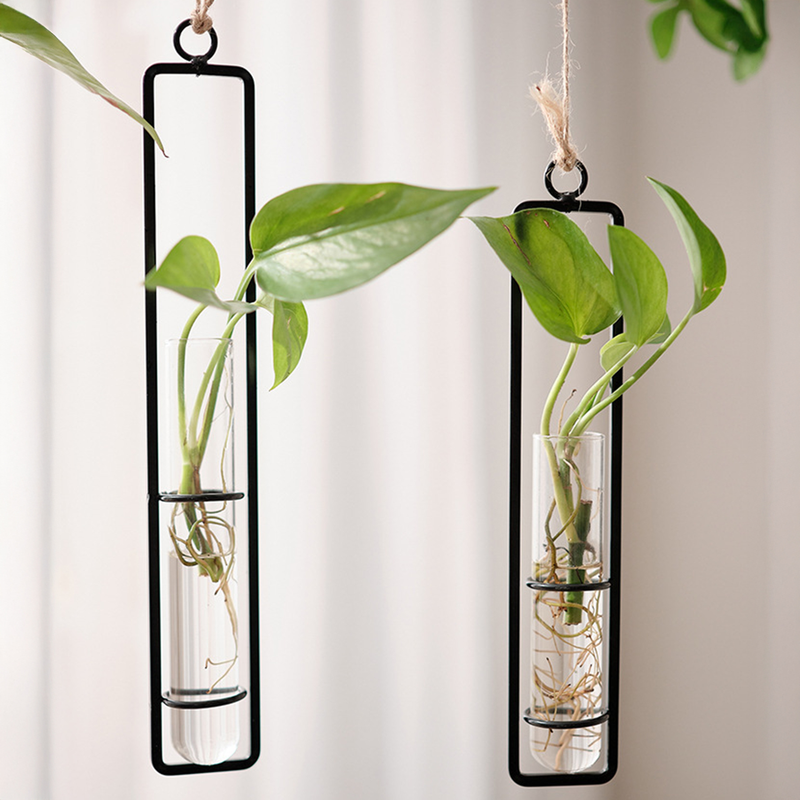 Wall Hanging Glass Vase Europe - Propagation Station Vase 评论和价格