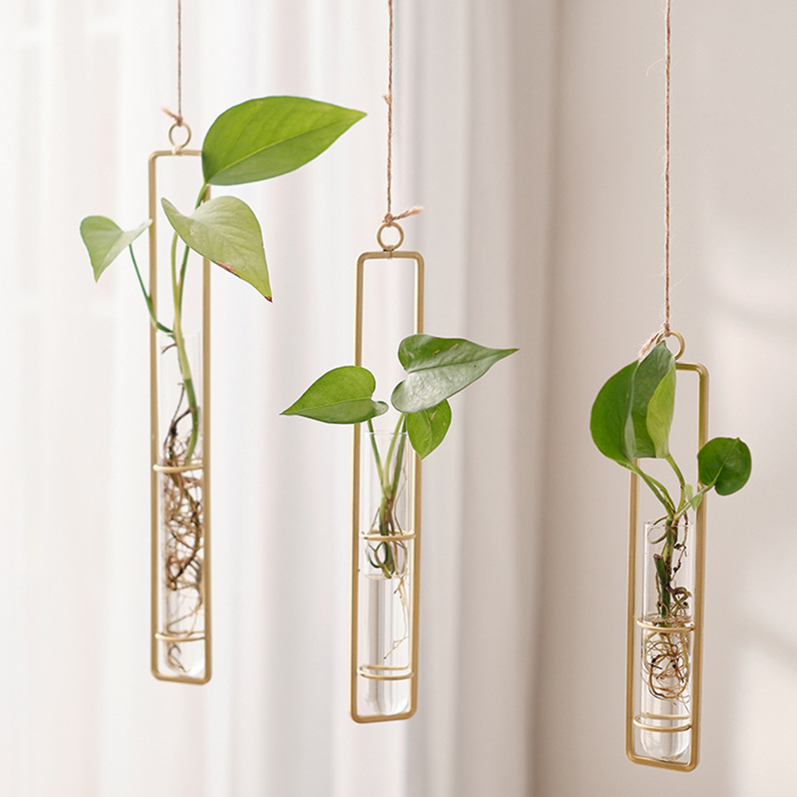 Wall Hanging Glass Vase Europe - Propagation Station Vase 评论和价格