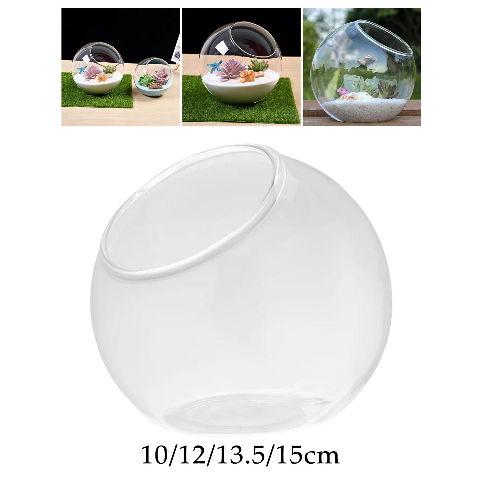 Terrarium Glass Vase Unique Ce - Propagation Station Vase 评论和价格