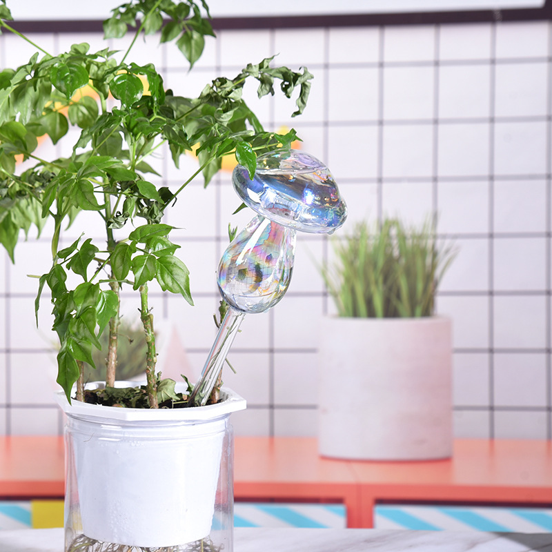 1/2PCS Glass Straw Automatic P - Self Watering Insert 评论和价格