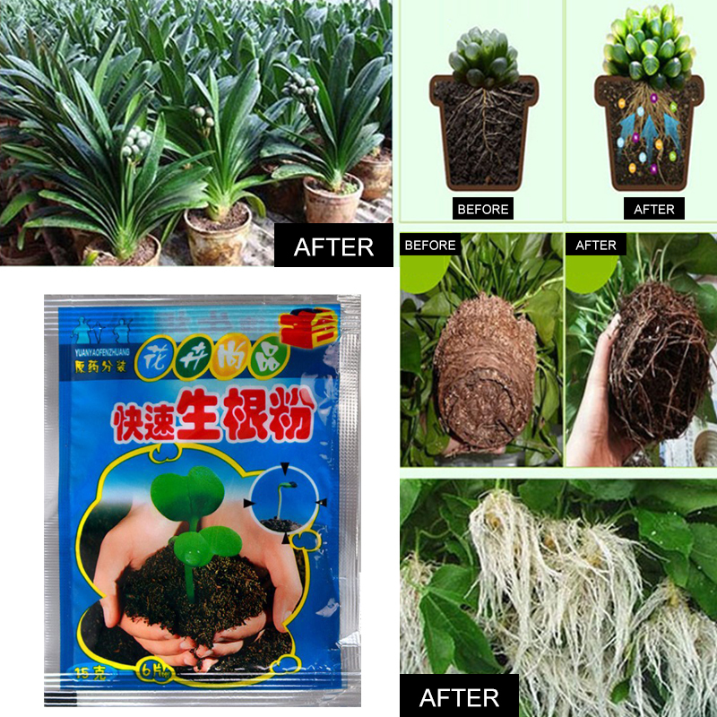5pcs Fast Rooting Powder Plant - Rooting Hormone Powder 评论和价格