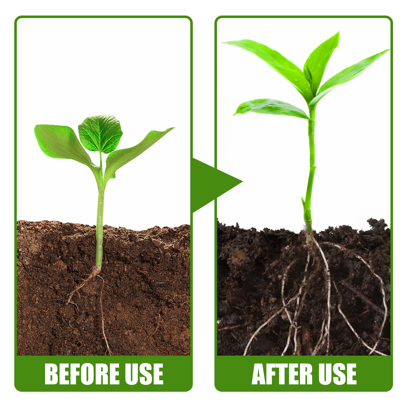 1Rare Plant Rooting Powder Pla - Rooting Hormone Powder 评论和价格