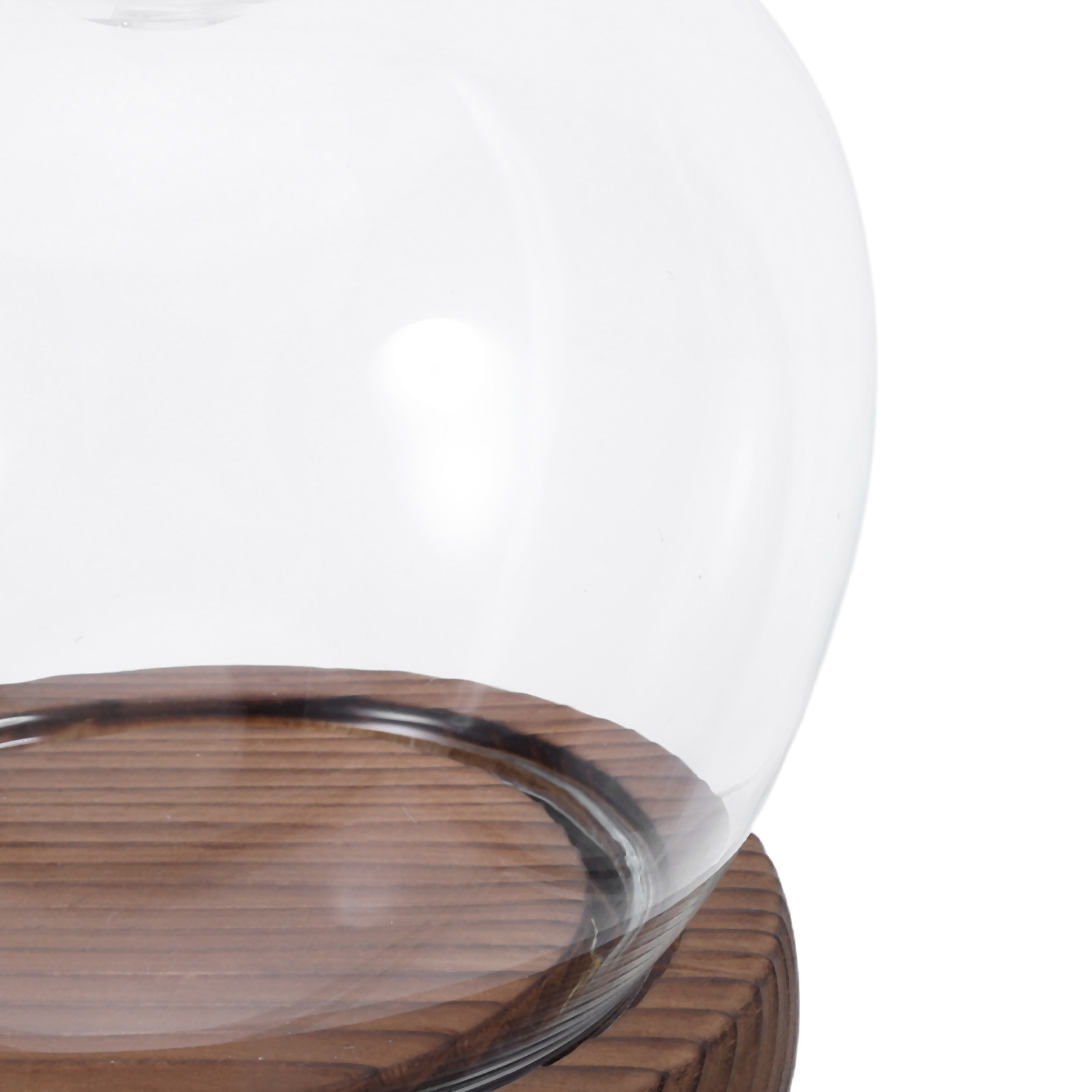 Clear Glass Dome Display with  - Plastic Dome Clear 评论和价格