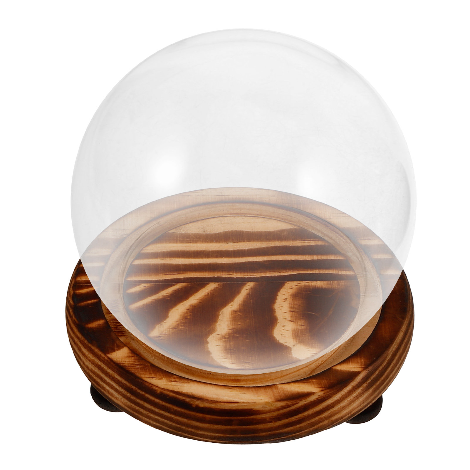 Glass Dome Display Case with W - Plastic Dome Clear 评论和价格