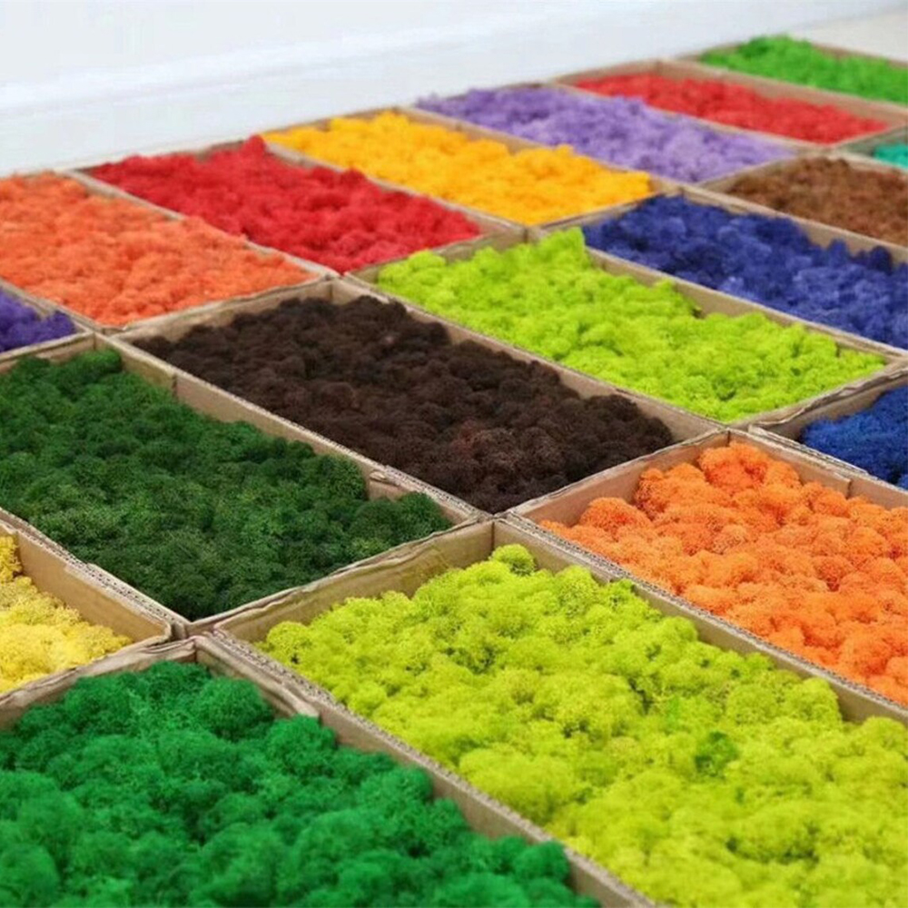 Artificial Green Plants Mini L - Sphagnum Moss Dry 评论和价格