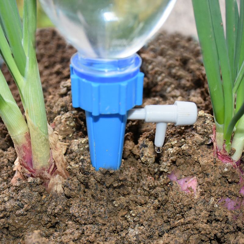 Drip Irrigation Automatic Plan - Self Watering Insert 评论和价格