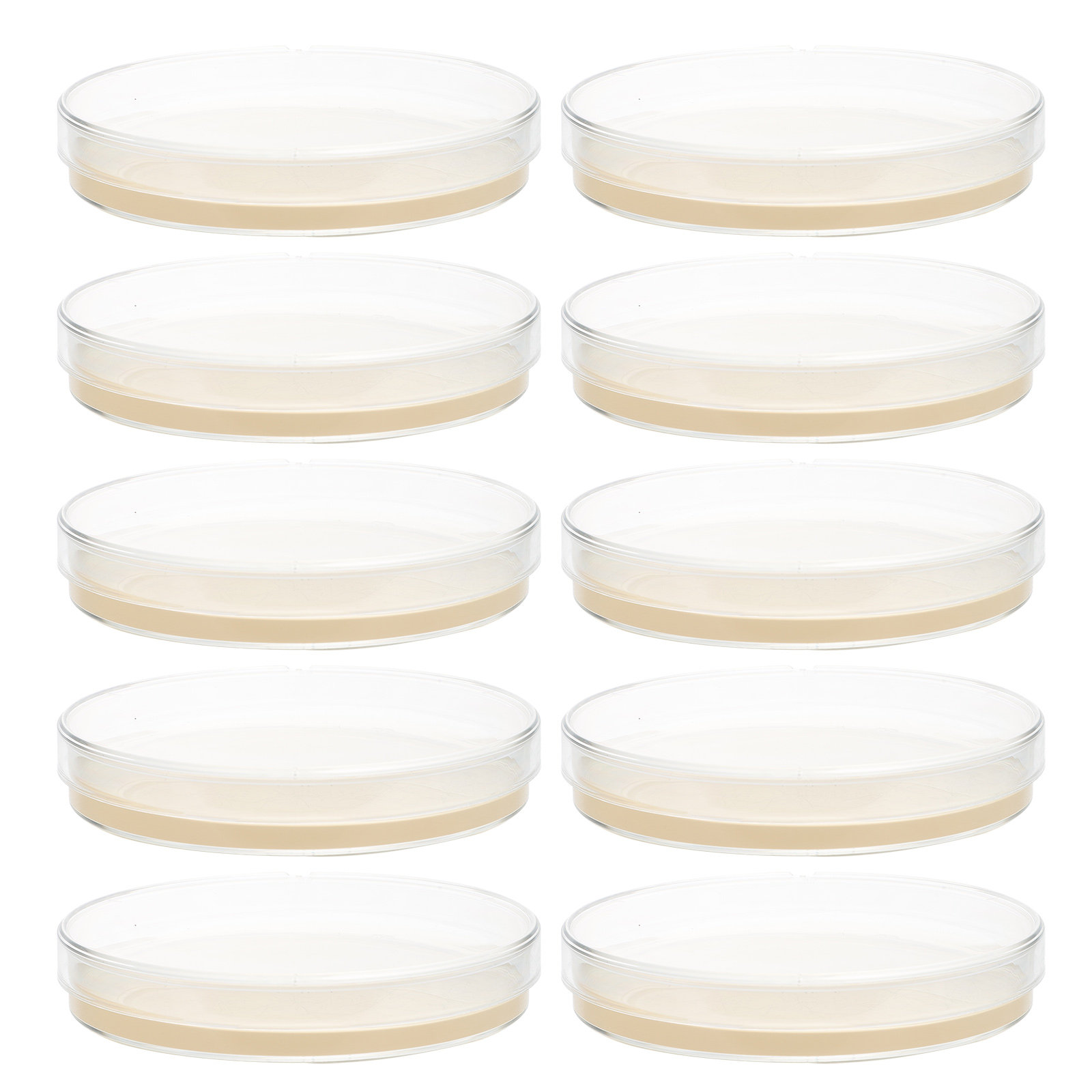 10pcs Nutrient Agar Plates Pre - Agar Tissue Culture 评论和价格