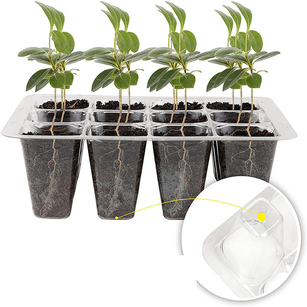 Seed Starter Trays with Grow L - Humidity Dome Kit 评论和价格