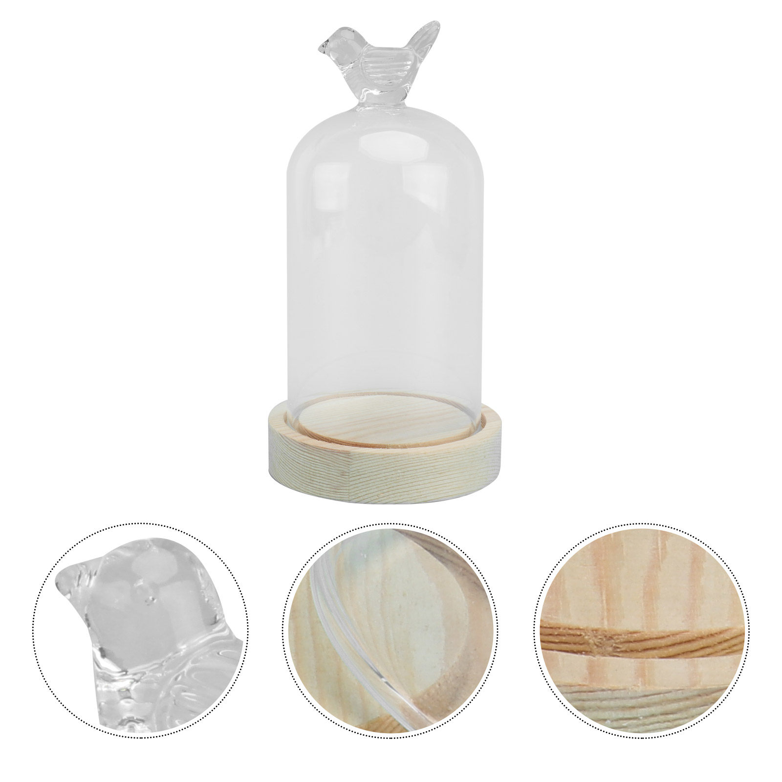 1Pcs Mini Glass Dome Cover Bir - Plastic Dome Clear 评论和价格