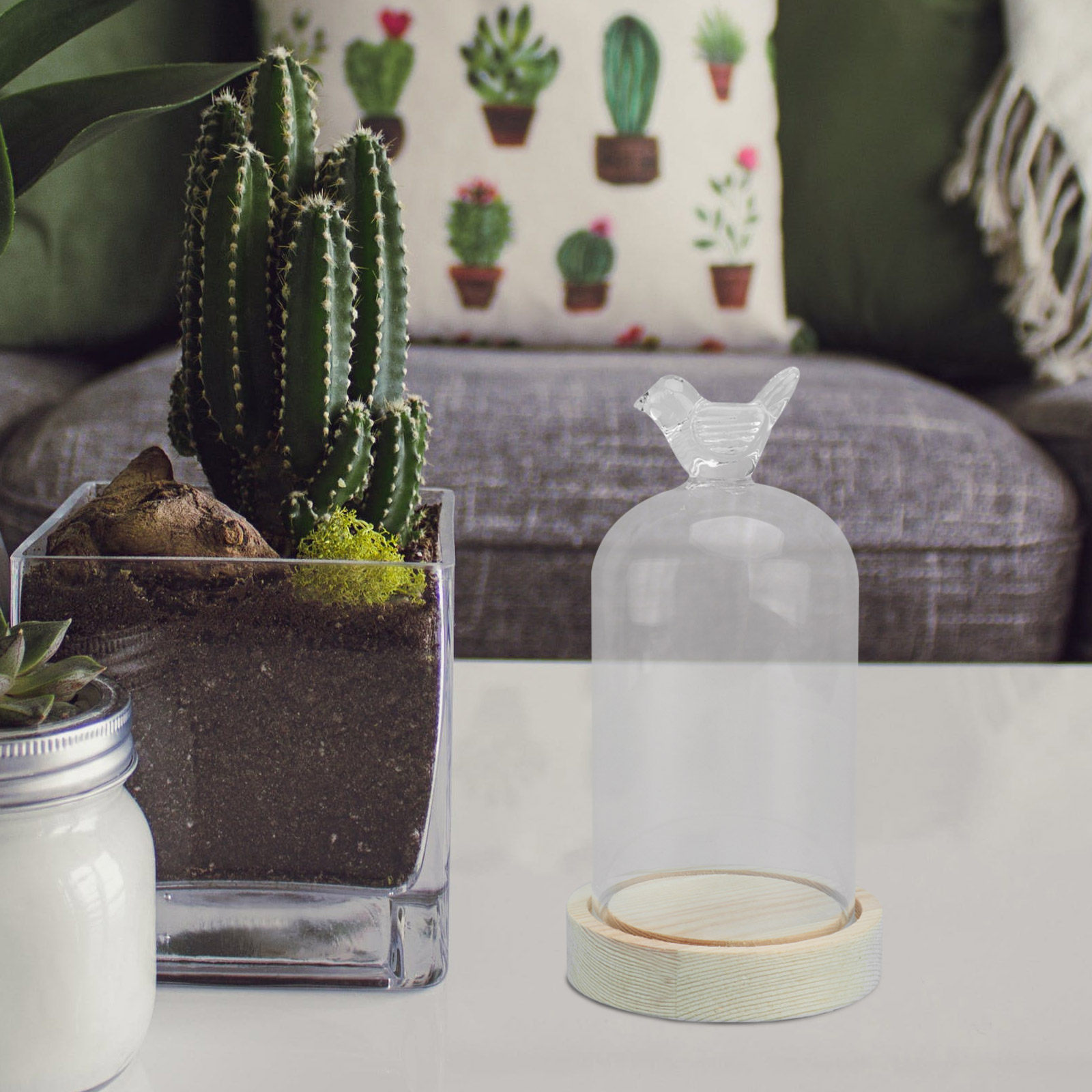 1Pcs Mini Glass Dome Cover Bir - Plastic Dome Clear 评论和价格