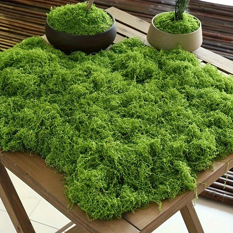 Green Fake Moss DIY Crafts Gra - Sphagnum Moss Dry 评论和价格