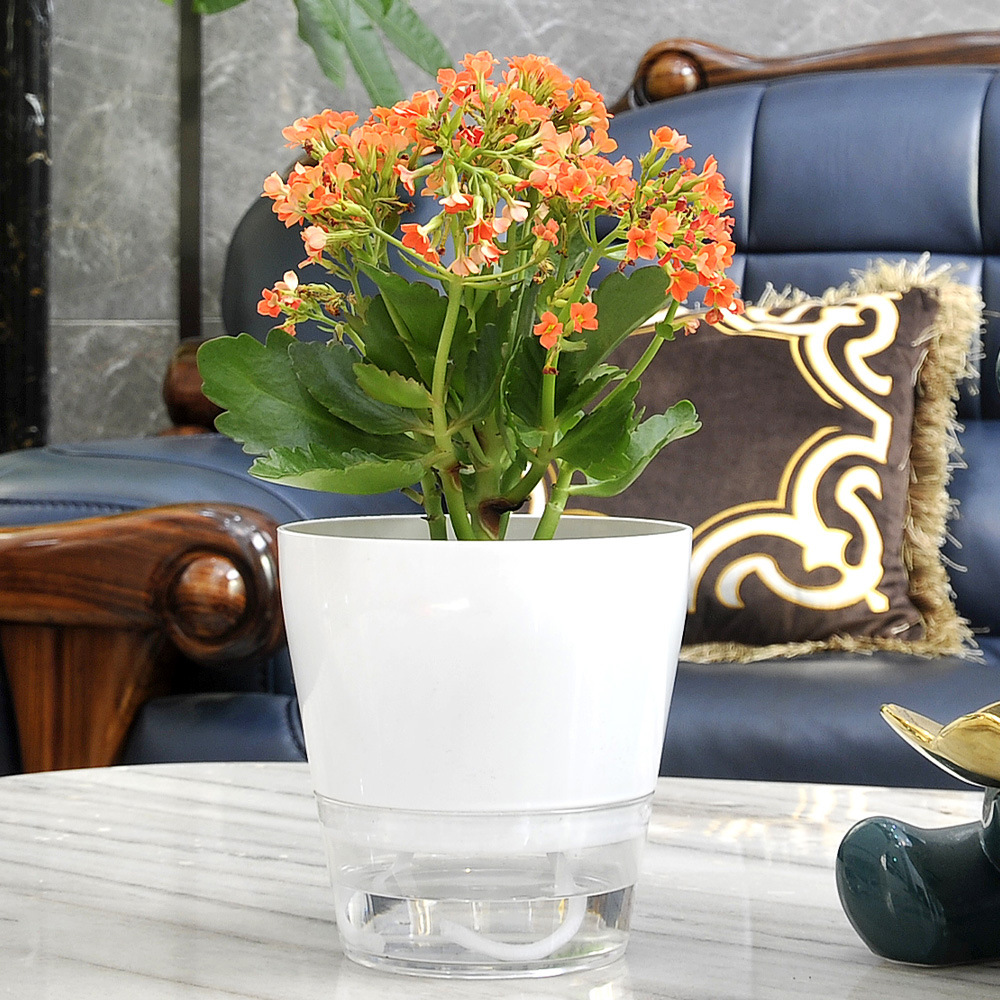 Lazy Flower with Drainage Hole - Self Watering Insert 评论和价格