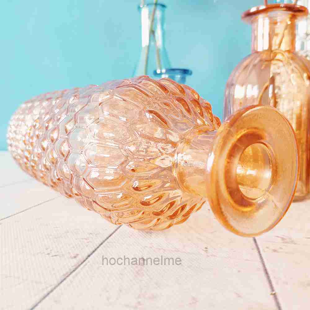 Glass Vase Living Room Decorat - Propagation Station Vase 评论和价格