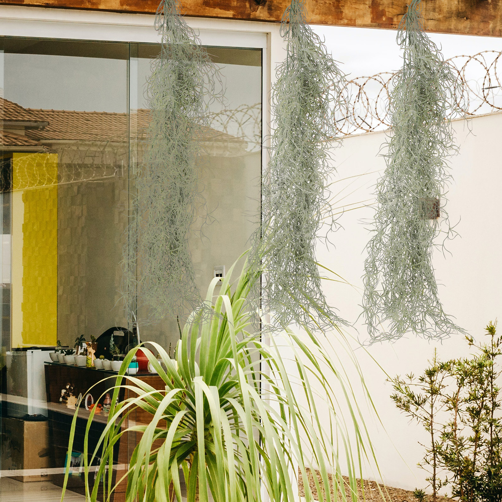 Hanging Moss Decor Artificial  - Sphagnum Moss Dry 评论和价格