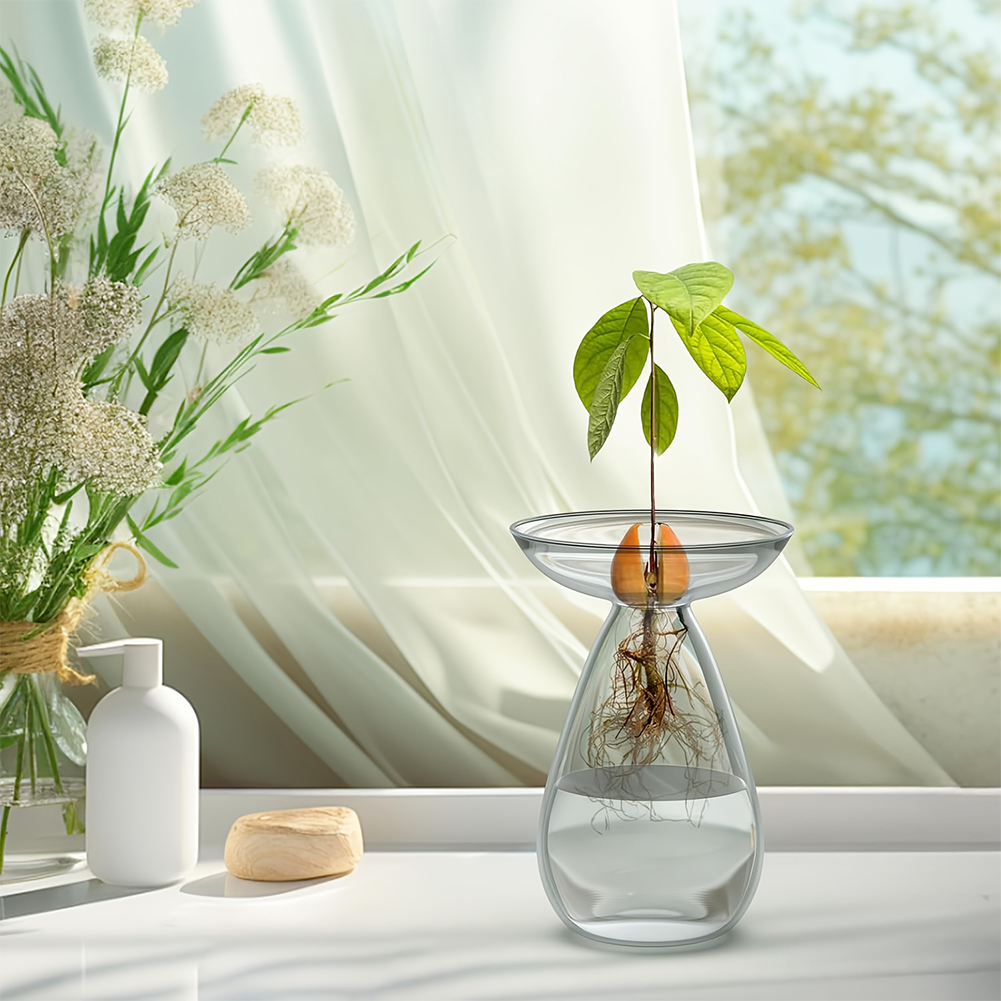 Avocado Seed Starter Vase Tran - Propagation Station Vase 评论和价格
