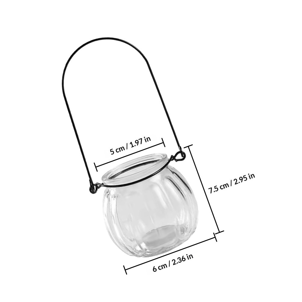 6Pcs Transparent Hanging Glass - Propagation Station Vase 评论和价格