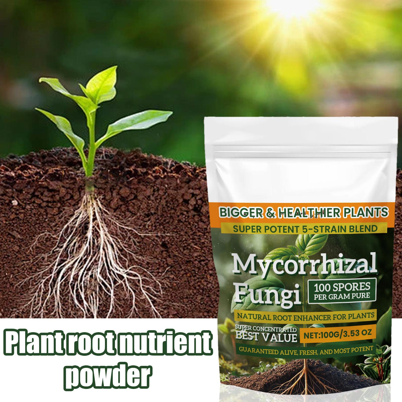 Plant Growth Enhancer Powder 1 - Rooting Hormone Powder 评论和价格