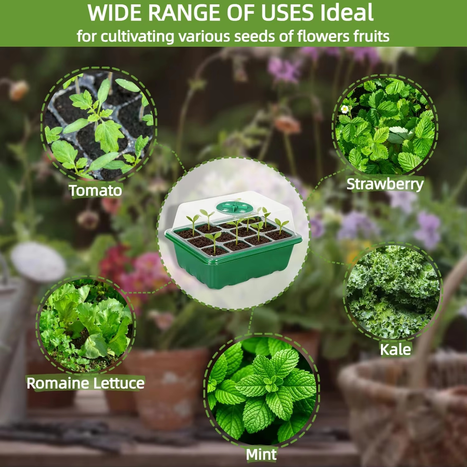 3Pcs Seed Starter Tray Mini Gr - Humidity Dome Kit 评论和价格