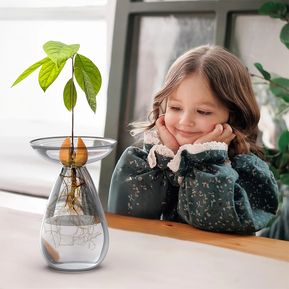 Avocado Seed Starter Vase Tran - Propagation Station Vase 评论和价格
