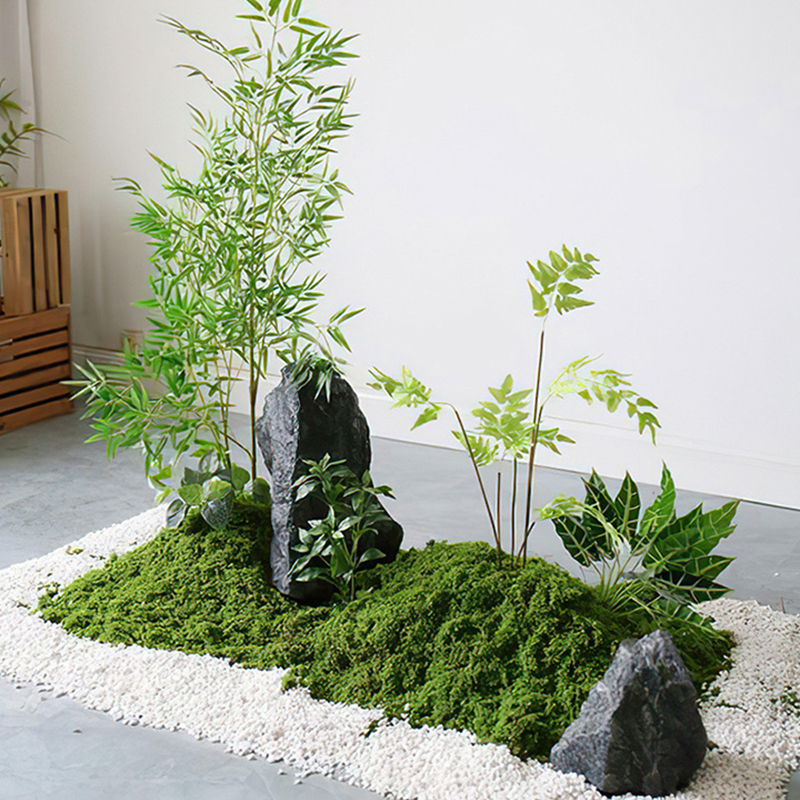 【P】50g Fake Moss DIY Crafts Gr - Sphagnum Moss Dry 评论和价格