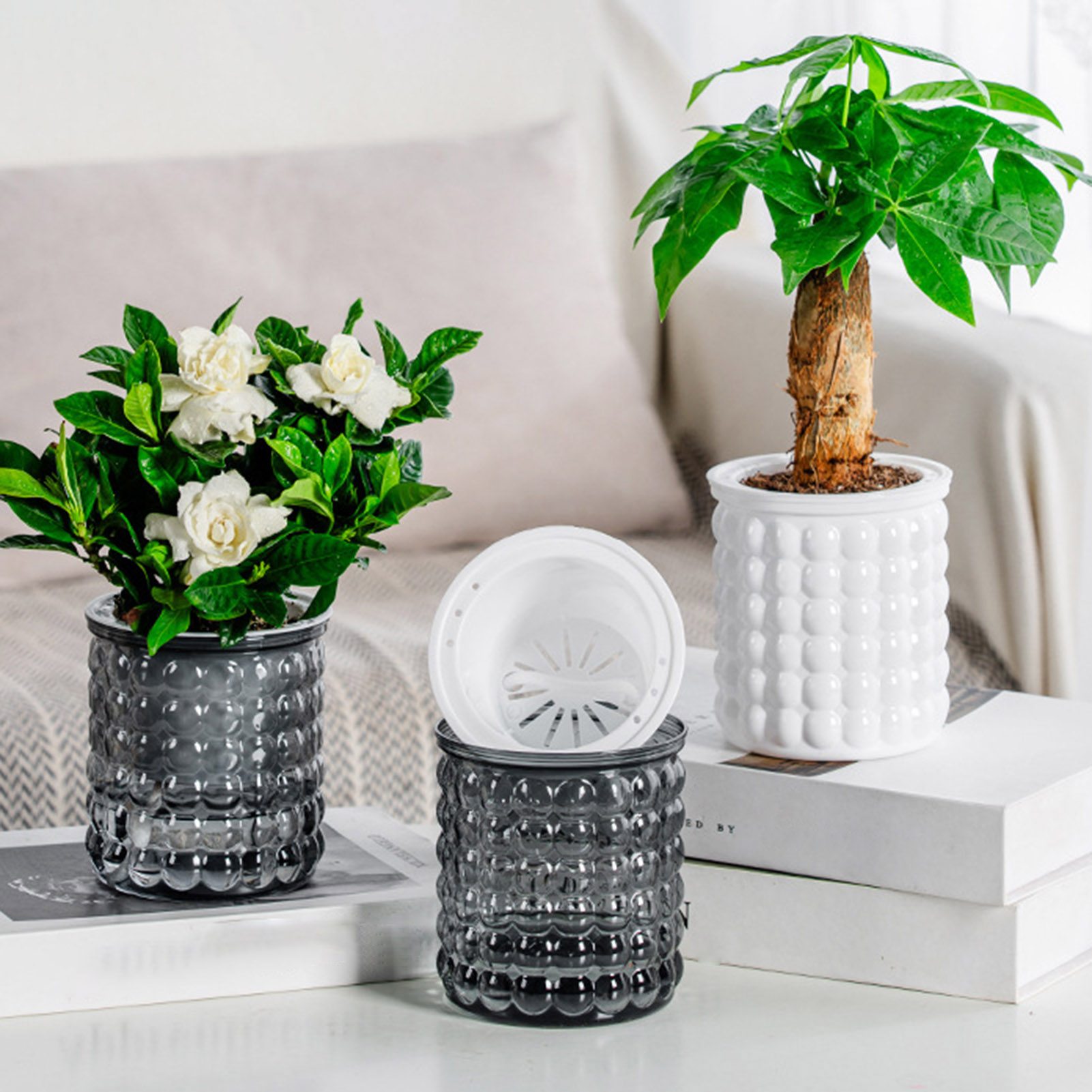 Self Watering Flowerpot Hydrop - Self Watering Insert 评论和价格