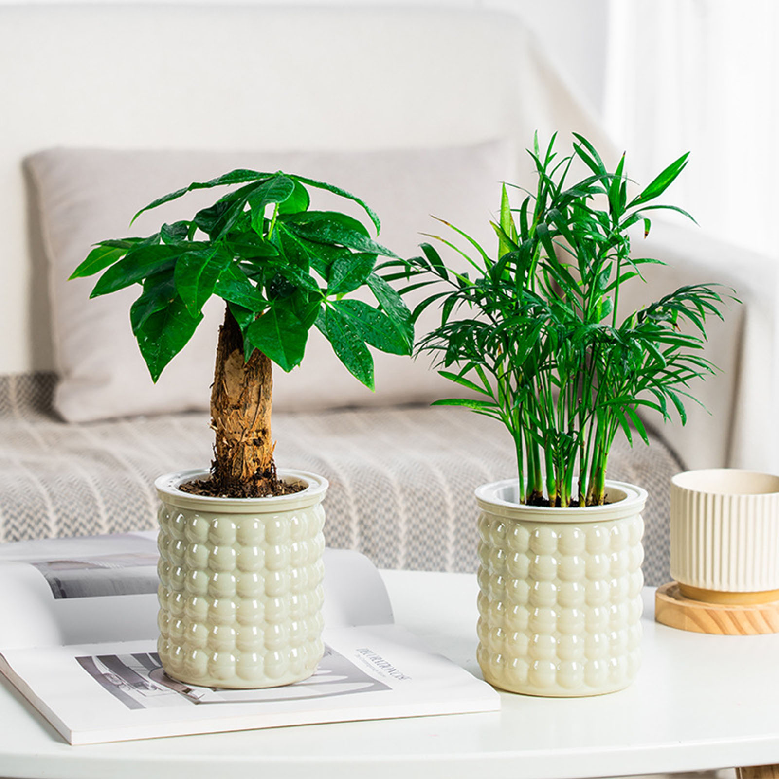 Self Watering Flowerpot Hydrop - Self Watering Insert 评论和价格