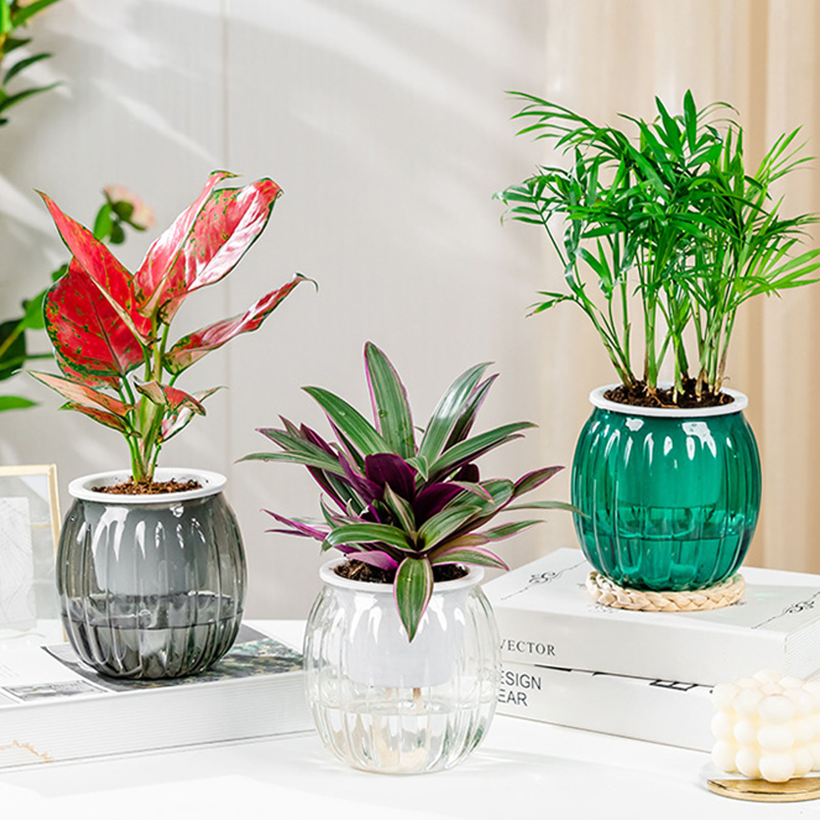 Self Watering Flowerpot Hydrop - Self Watering Insert 评论和价格